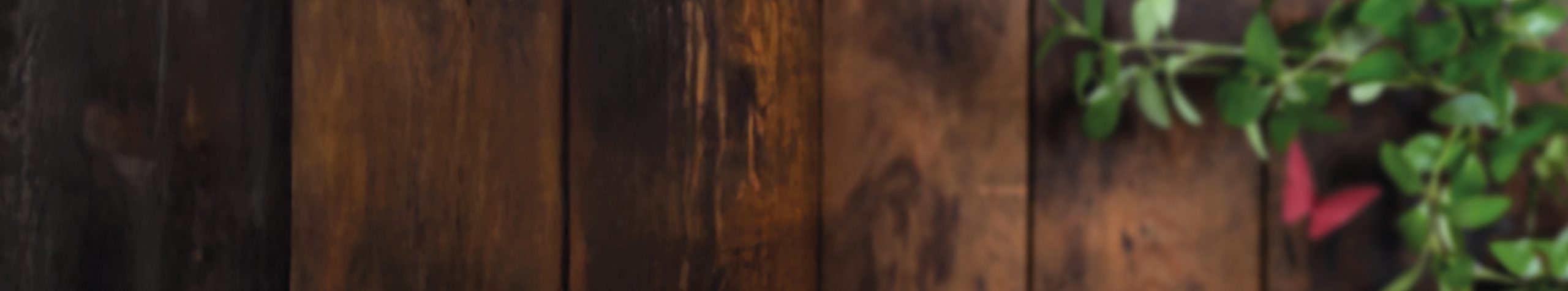 Landlust Banner Content