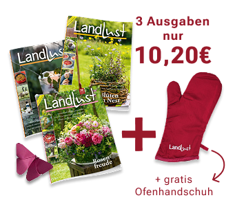 3 Ausgaben nur 10,20€ + gratis Ofenhandschuh